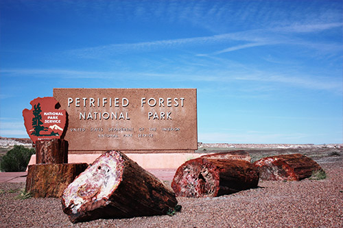 https://www.flowingwatercasino.com/wp-content/uploads/2022/04/attractions-petrified-forest.jpg